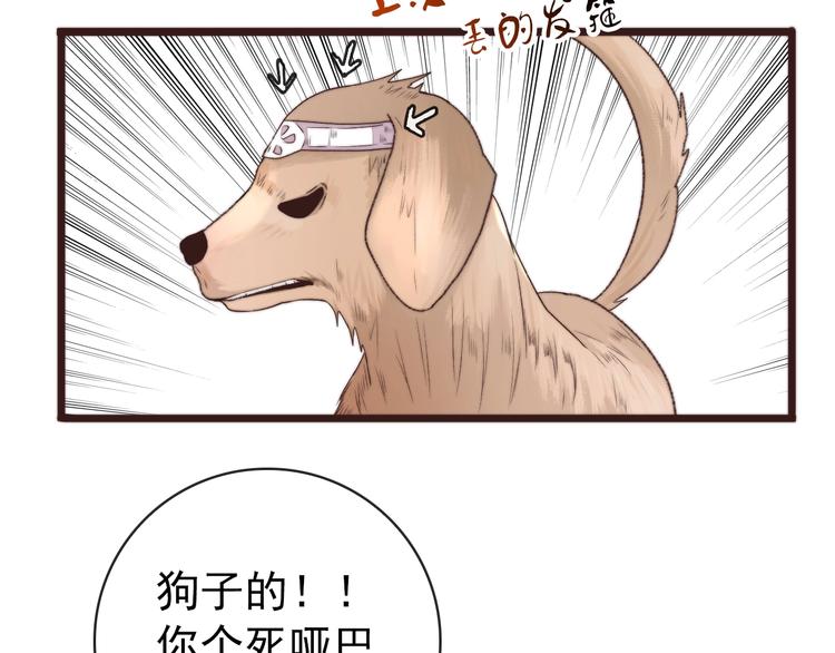 第 70 页