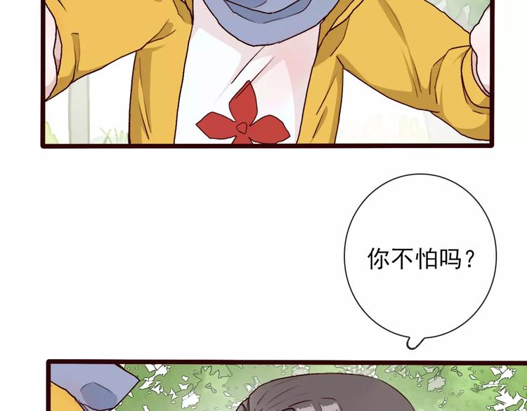 第 53 页