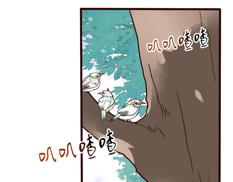 第 51 页