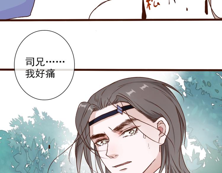 第 68 页