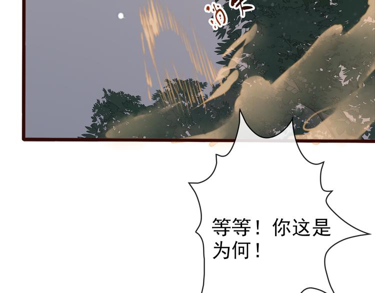 第 78 页