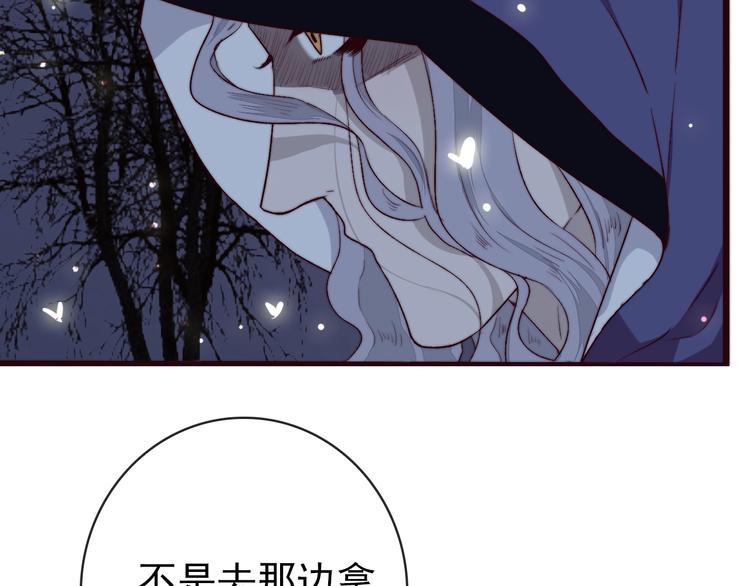 第 71 页