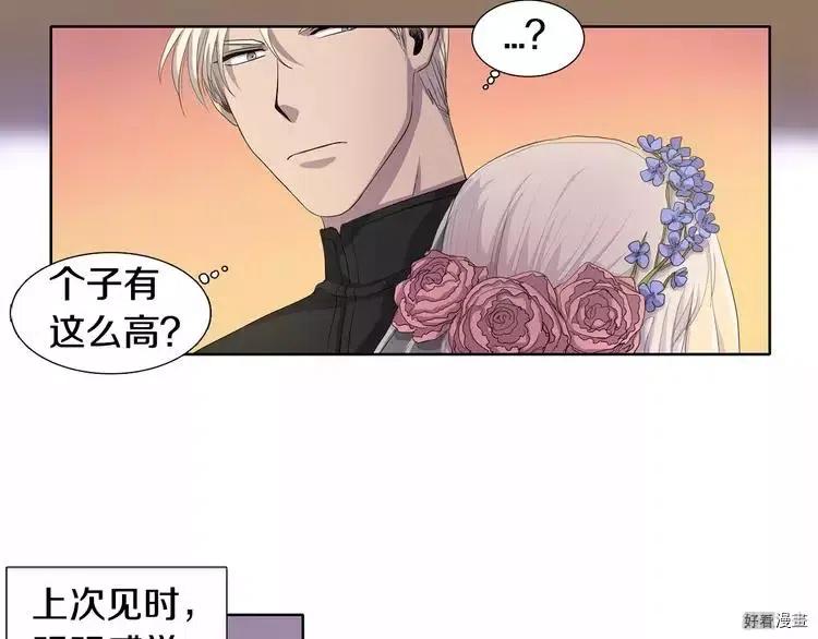 第 50 页