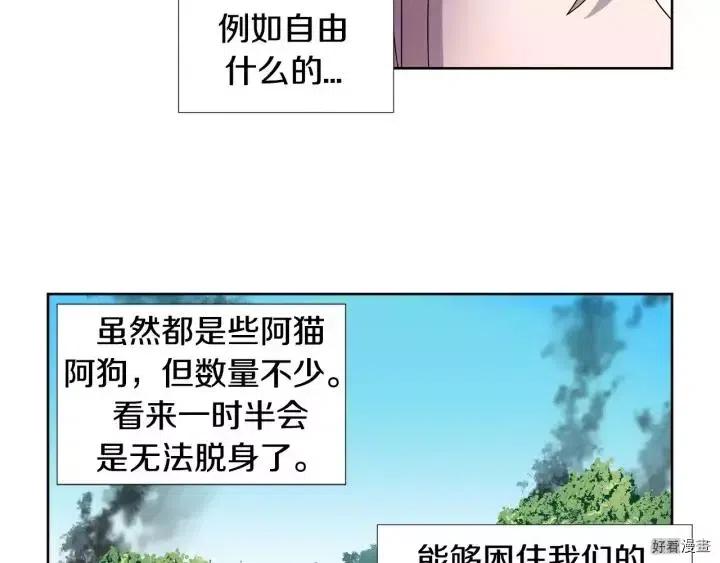 第 54 页