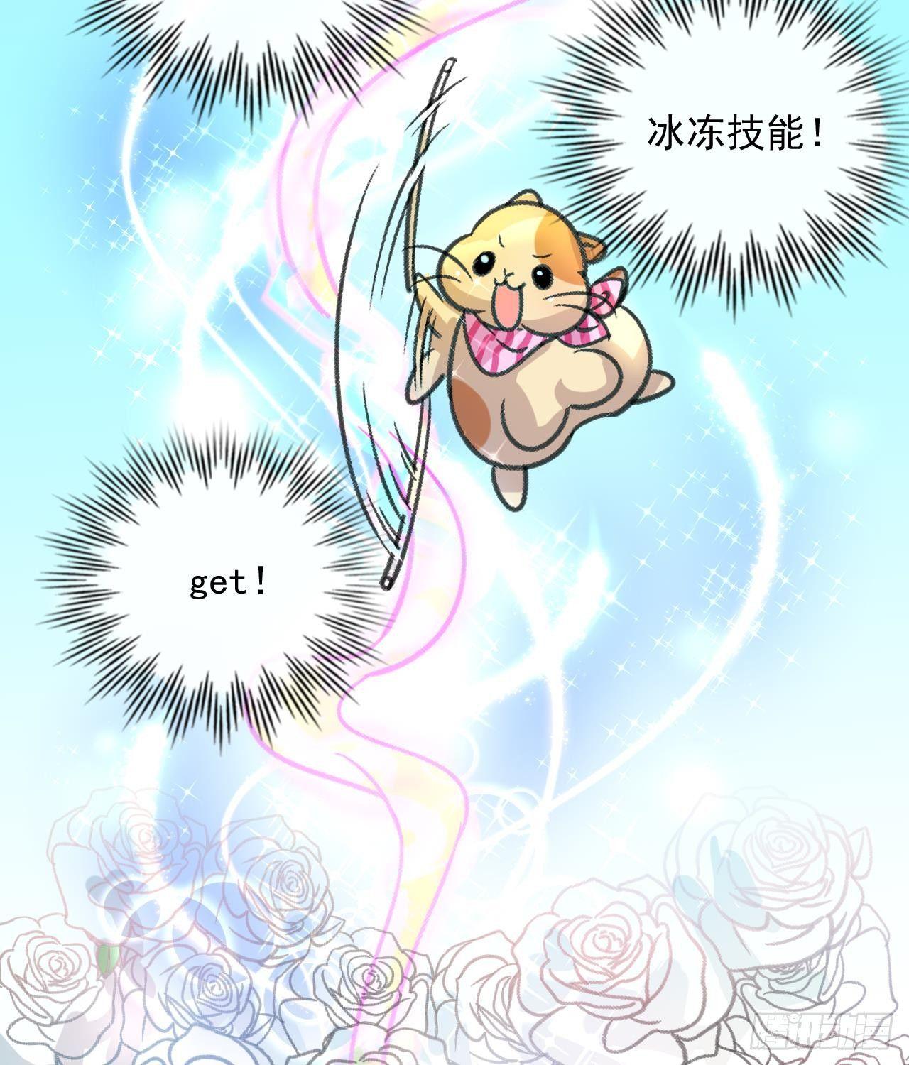 第 38 页