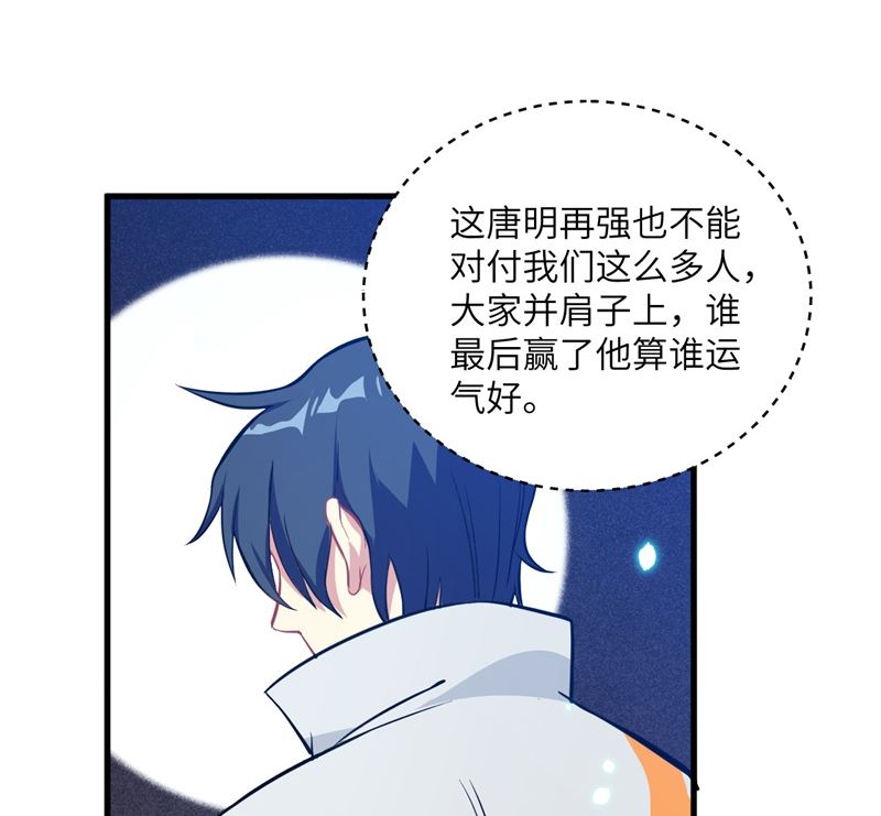 第 51 页