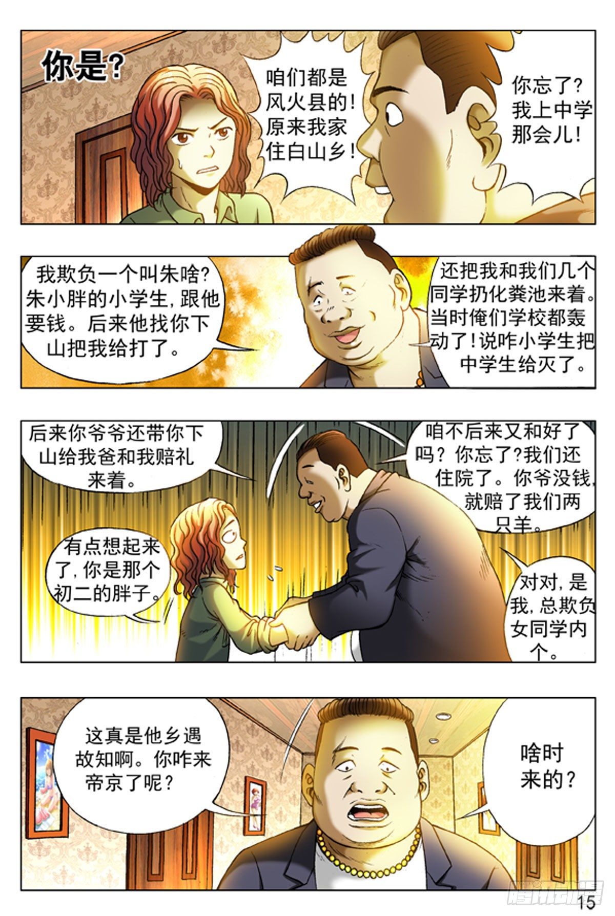 第 15 页