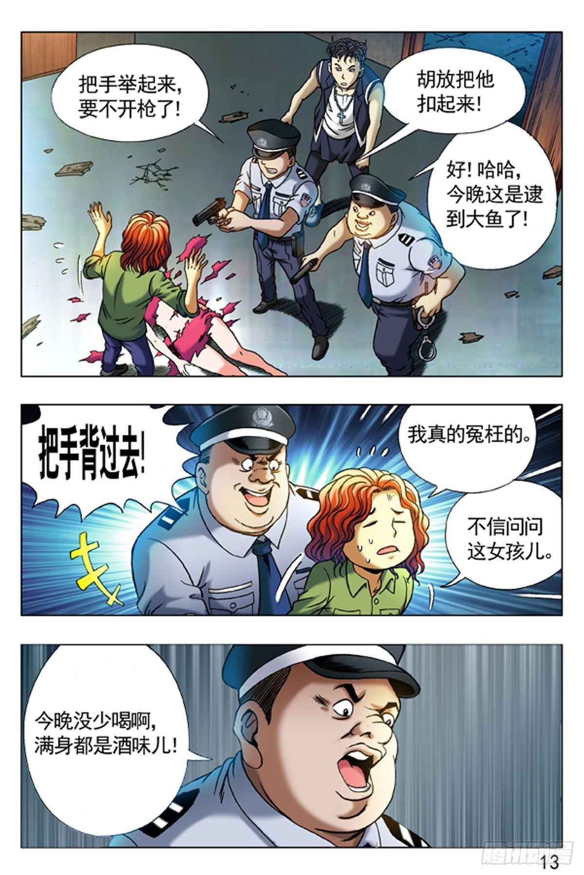第 13 页