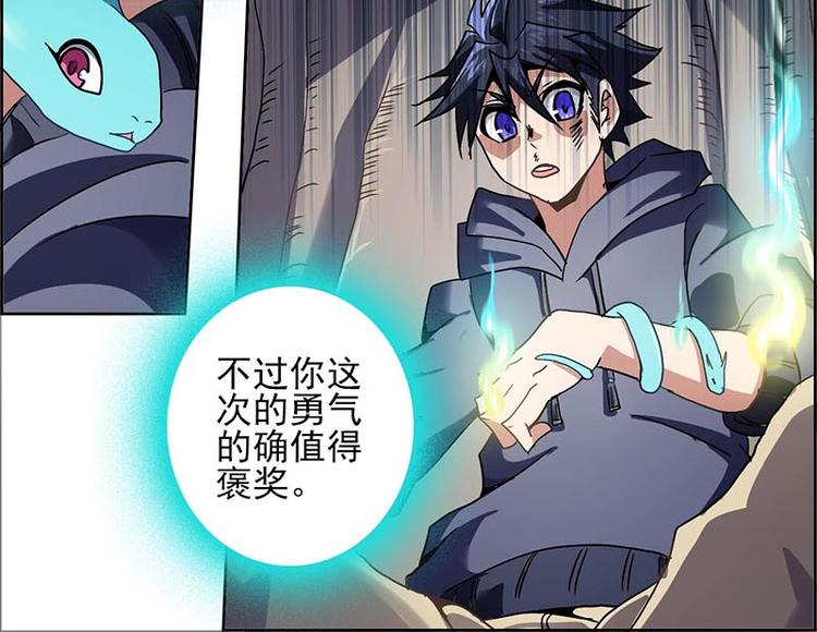 第 204 页