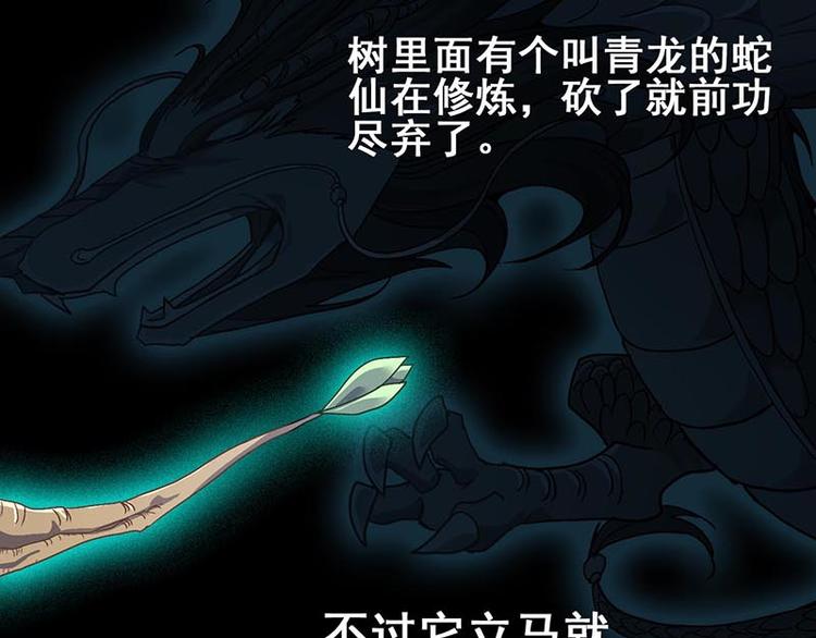 第 97 页