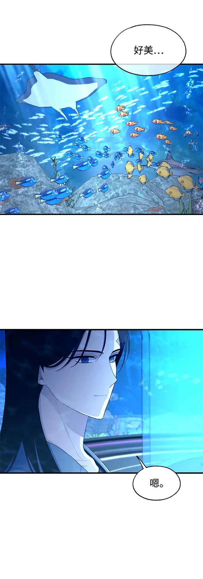 第 54 页