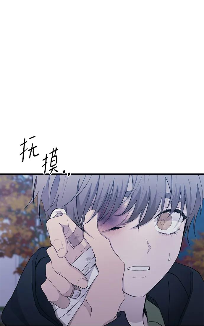 第 81 页