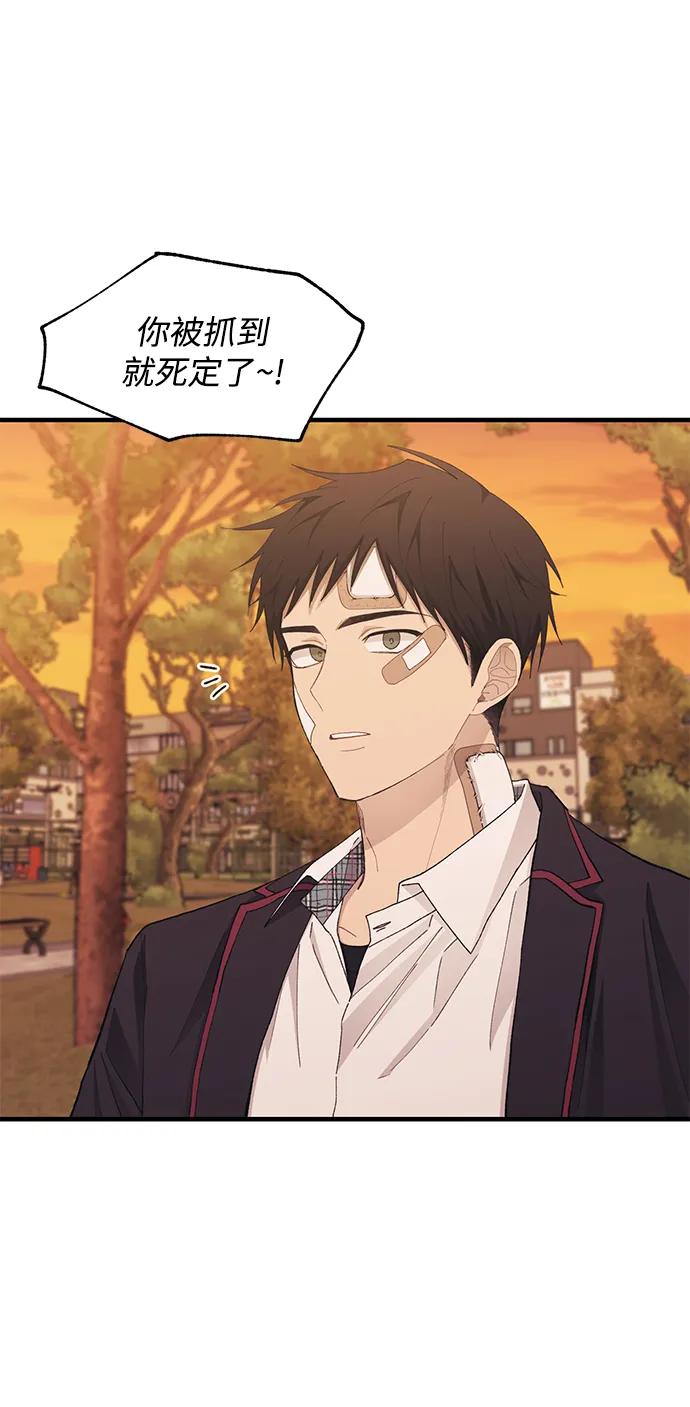 第 67 页