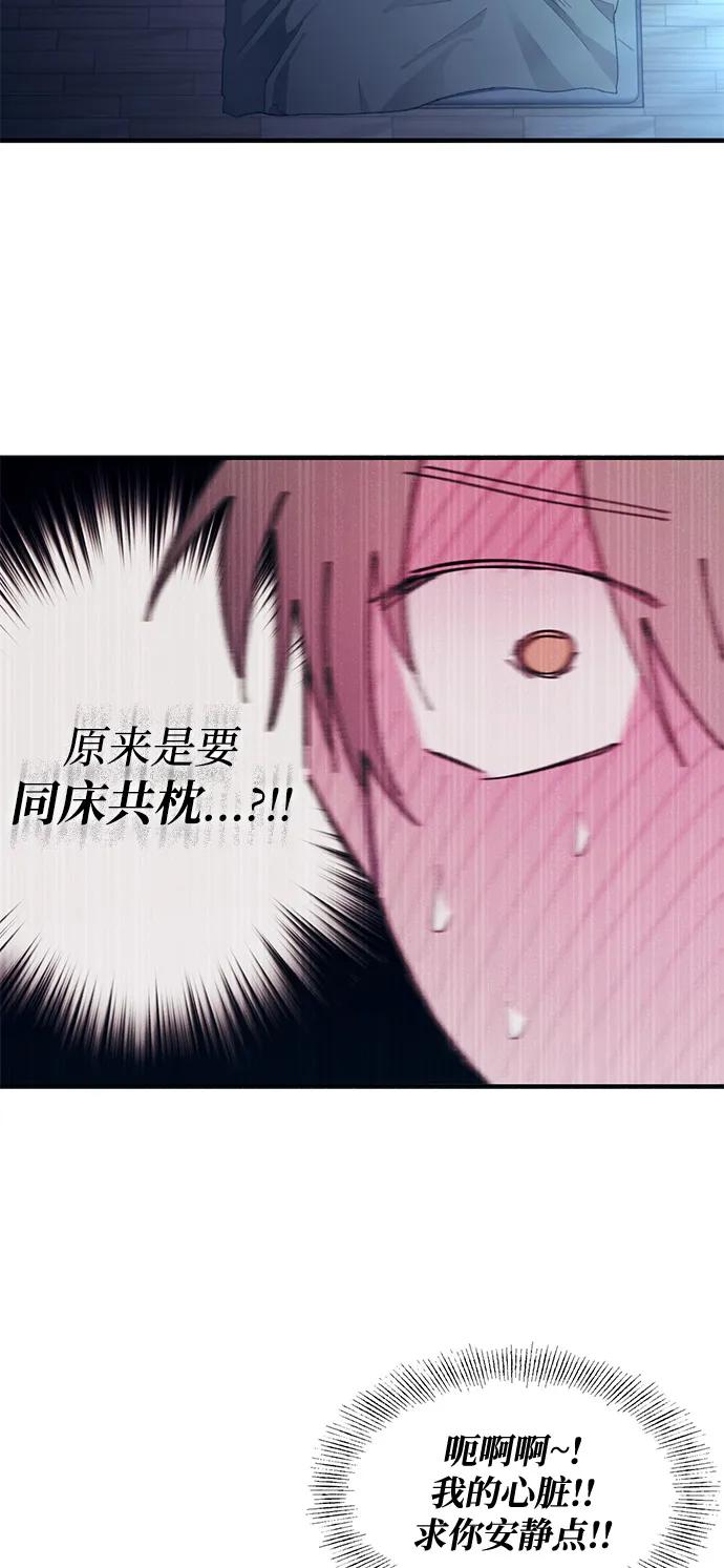 第 53 页