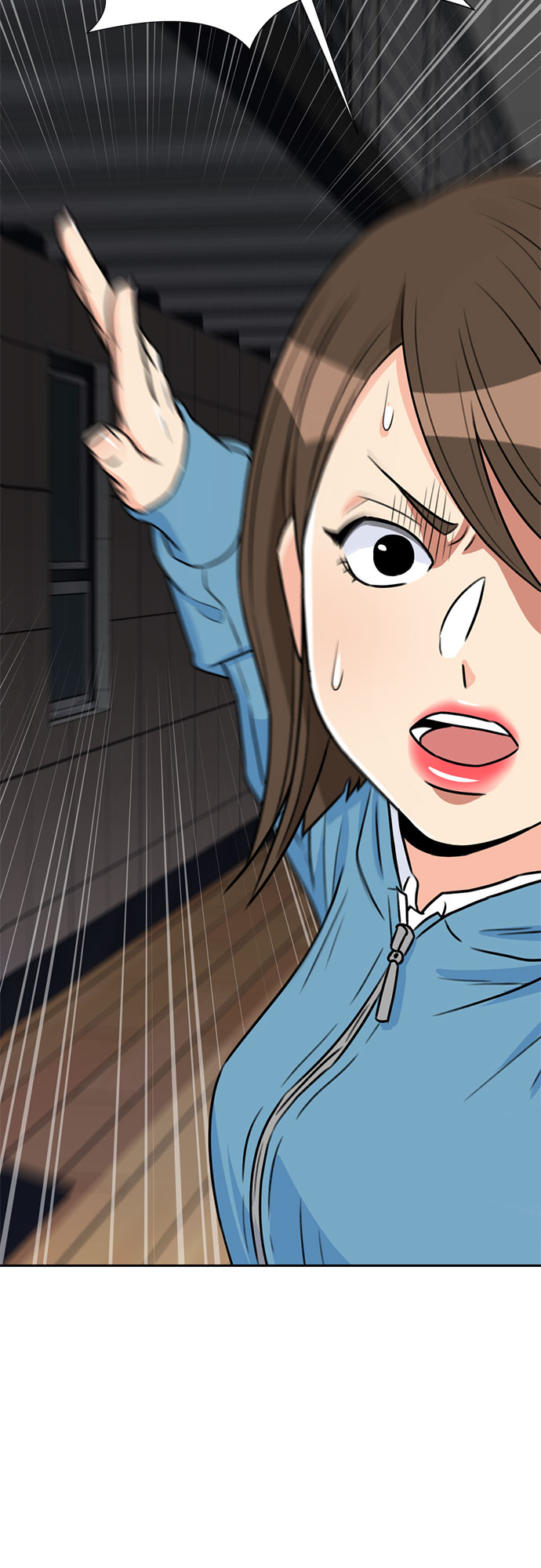 第 43 页
