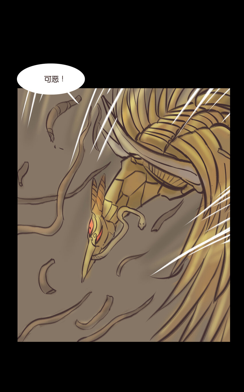 第 47 页