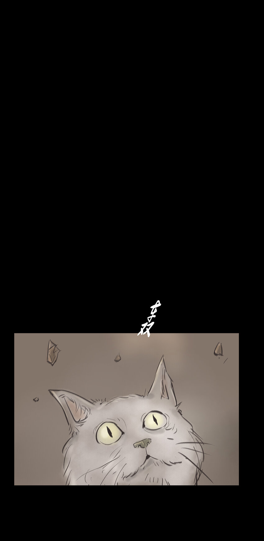 第 50 页