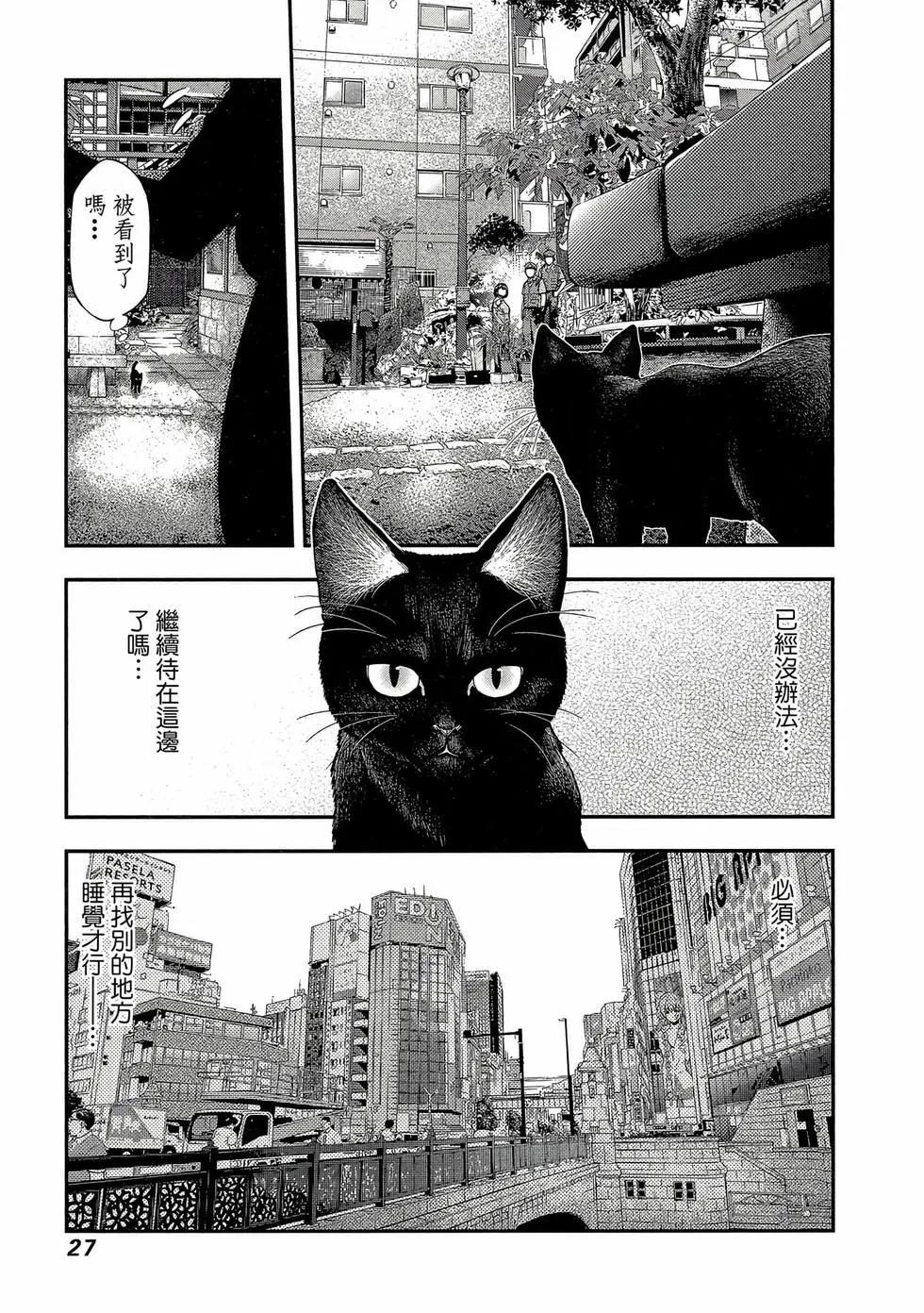 第 28 页