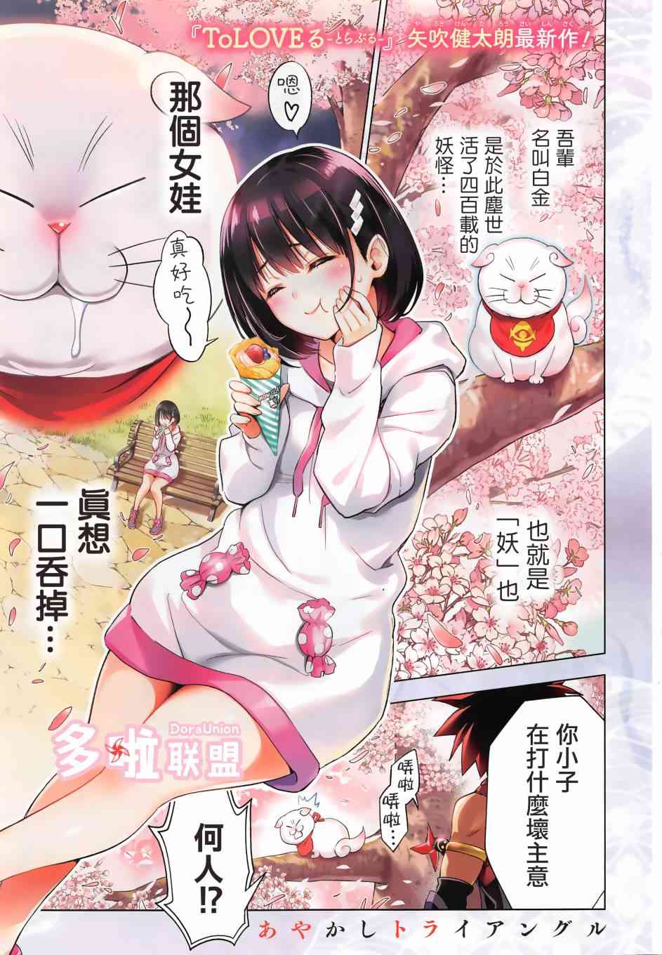第 3 页