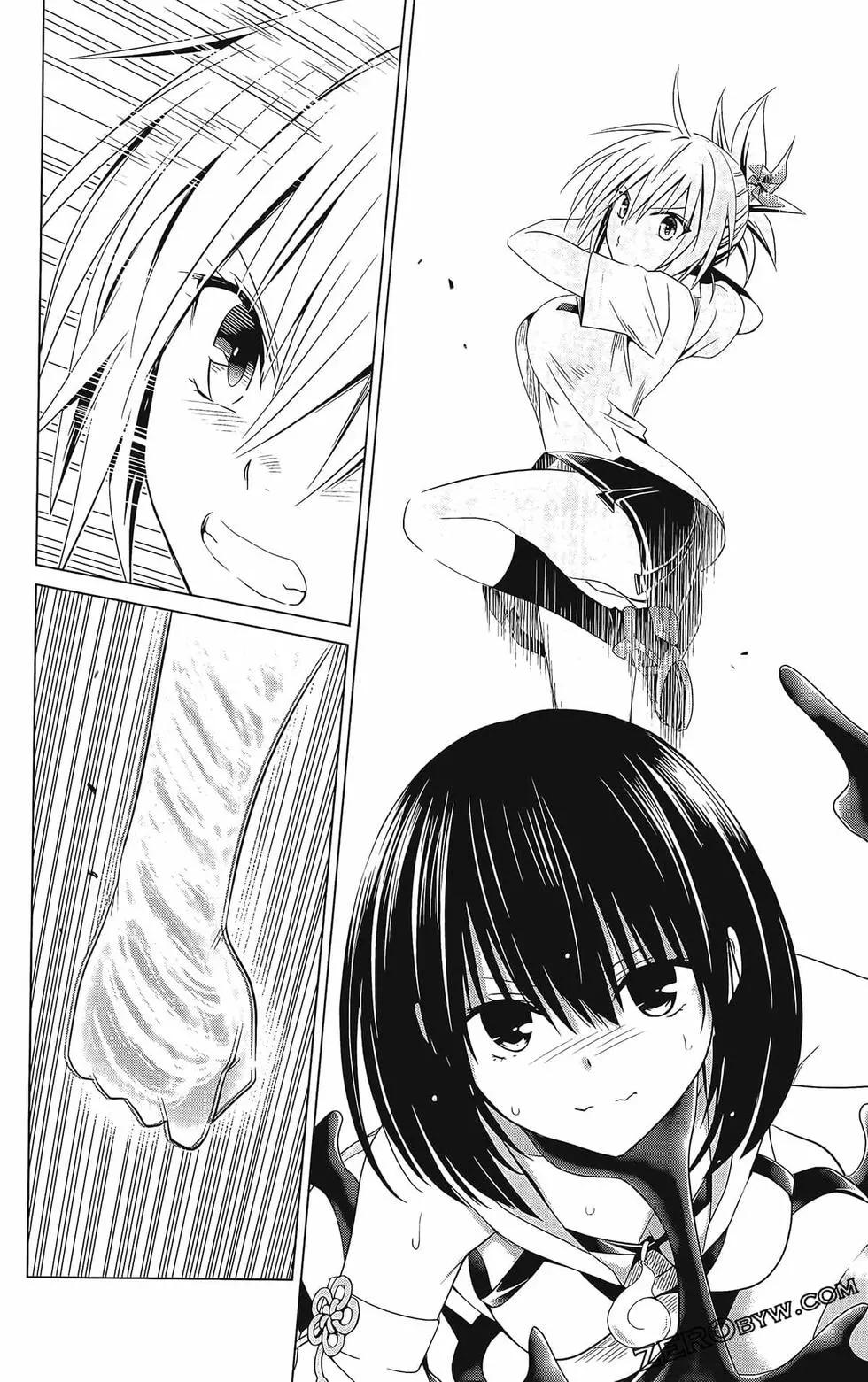 第 116 页