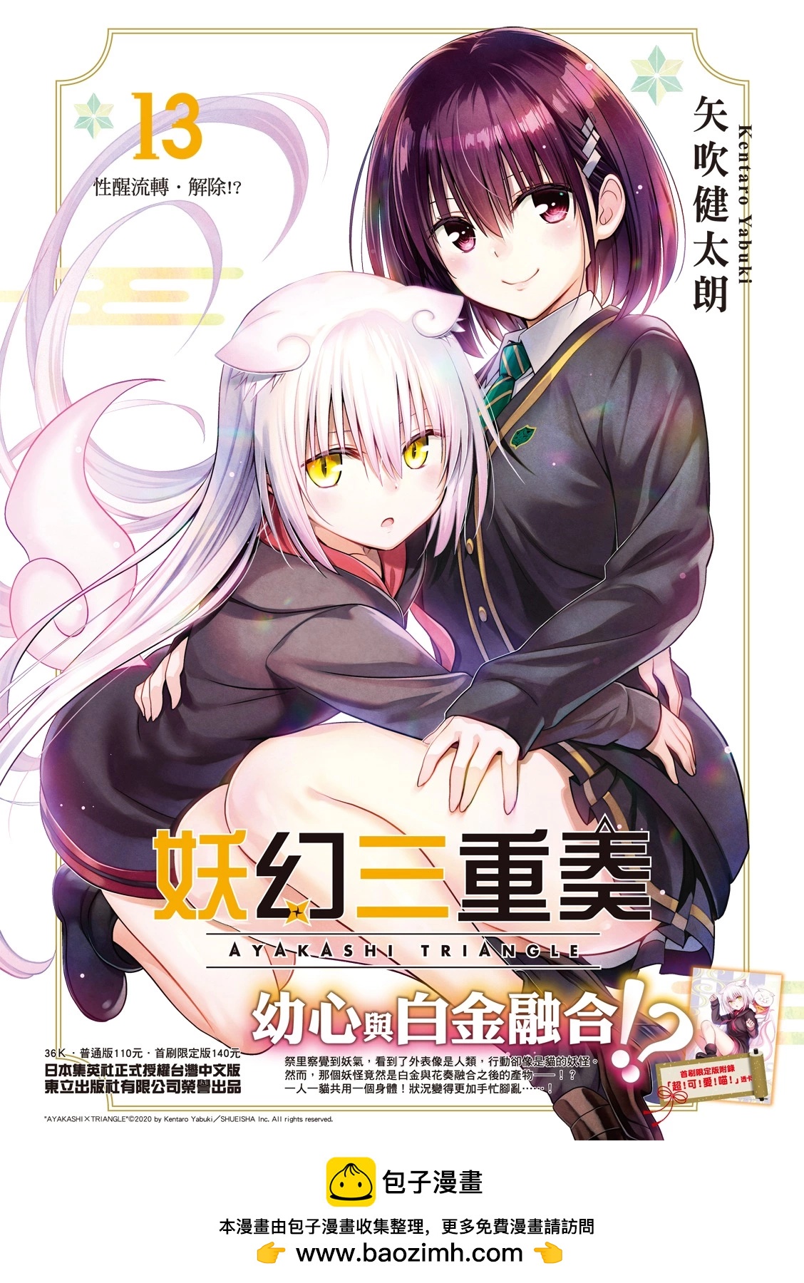 第 20 页