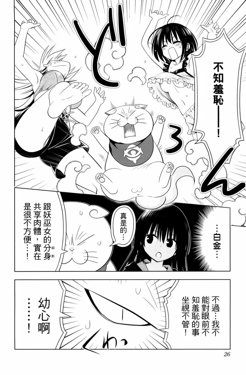 第 28 页
