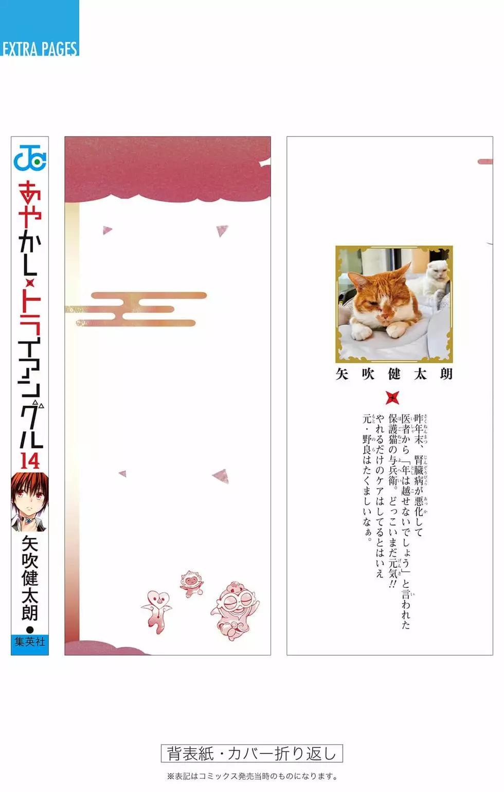 第 207 页