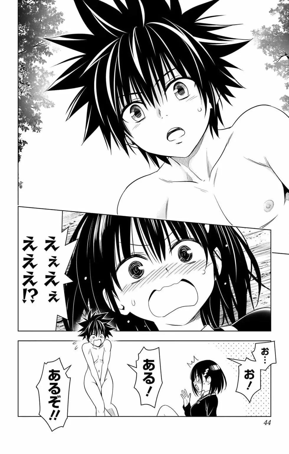 第 43 页