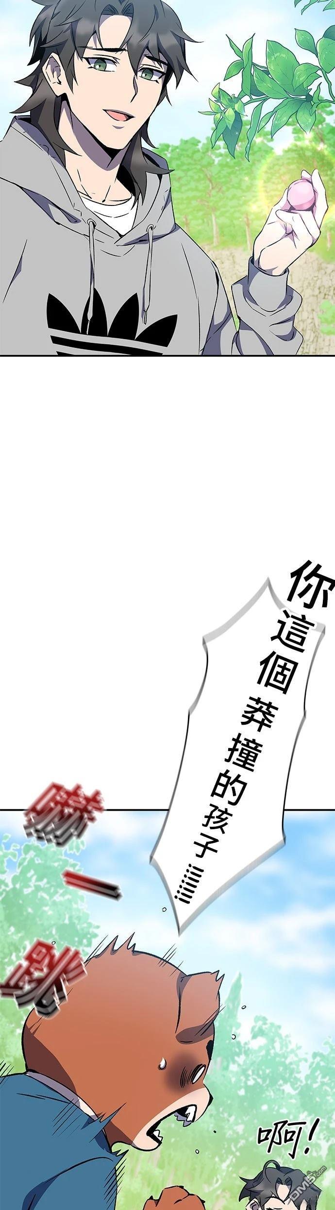 第 41 页