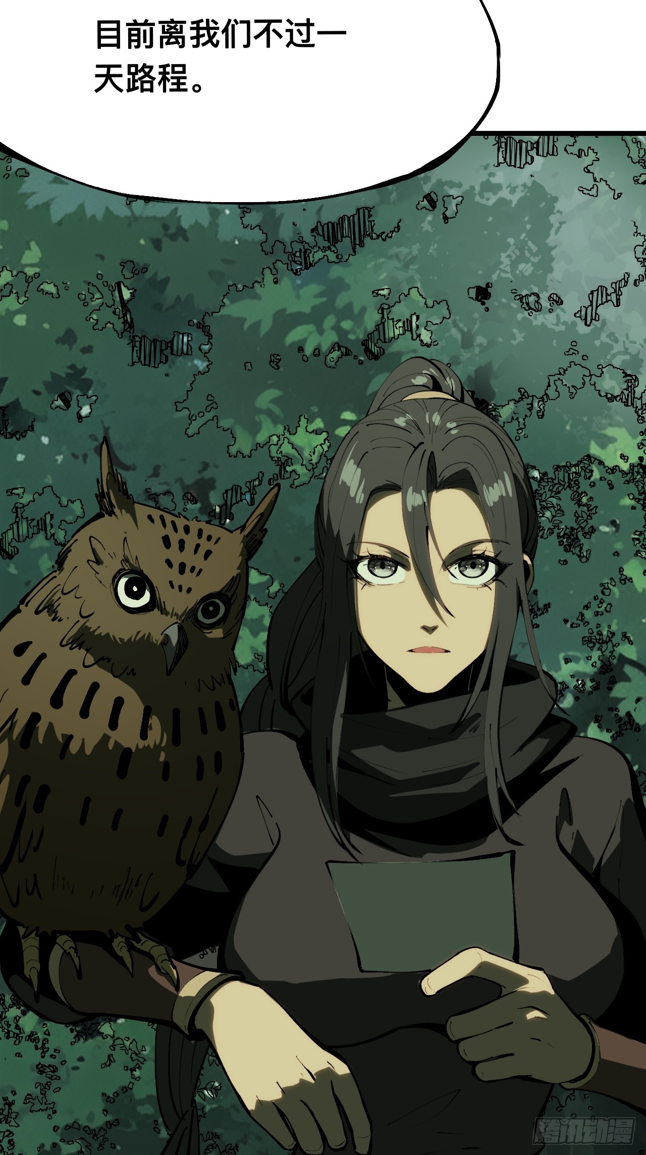 第 19 页