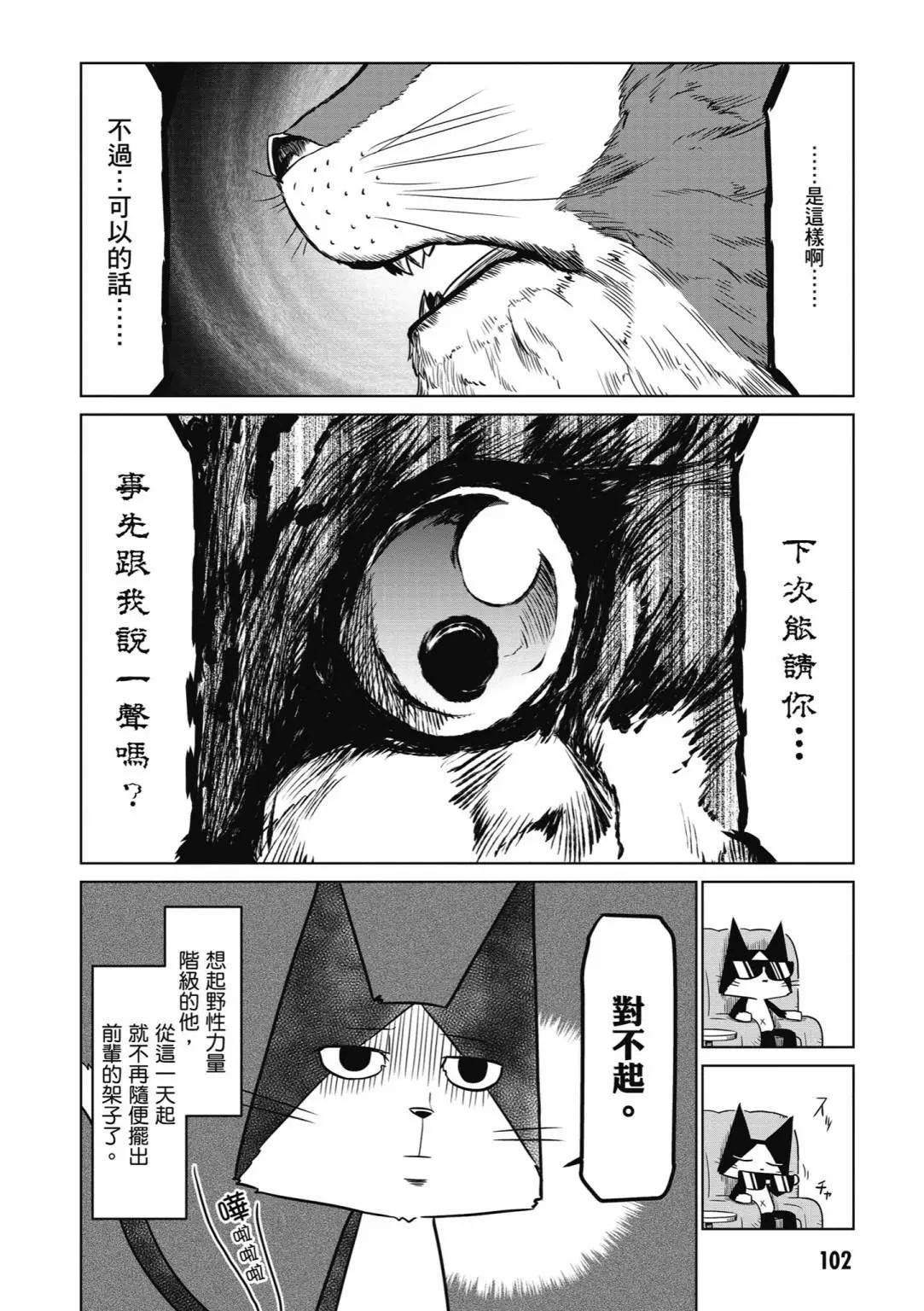 第 104 页