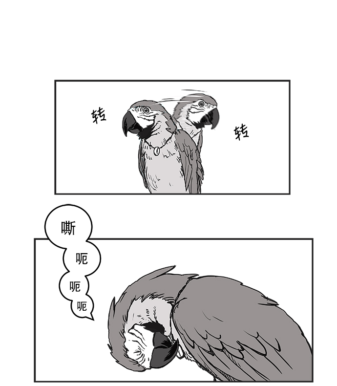 第 116 页