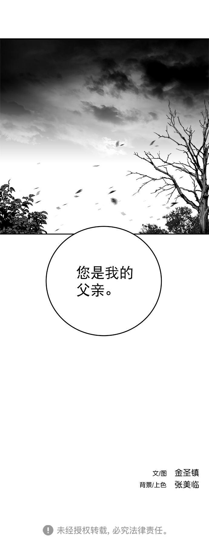 第 96 页