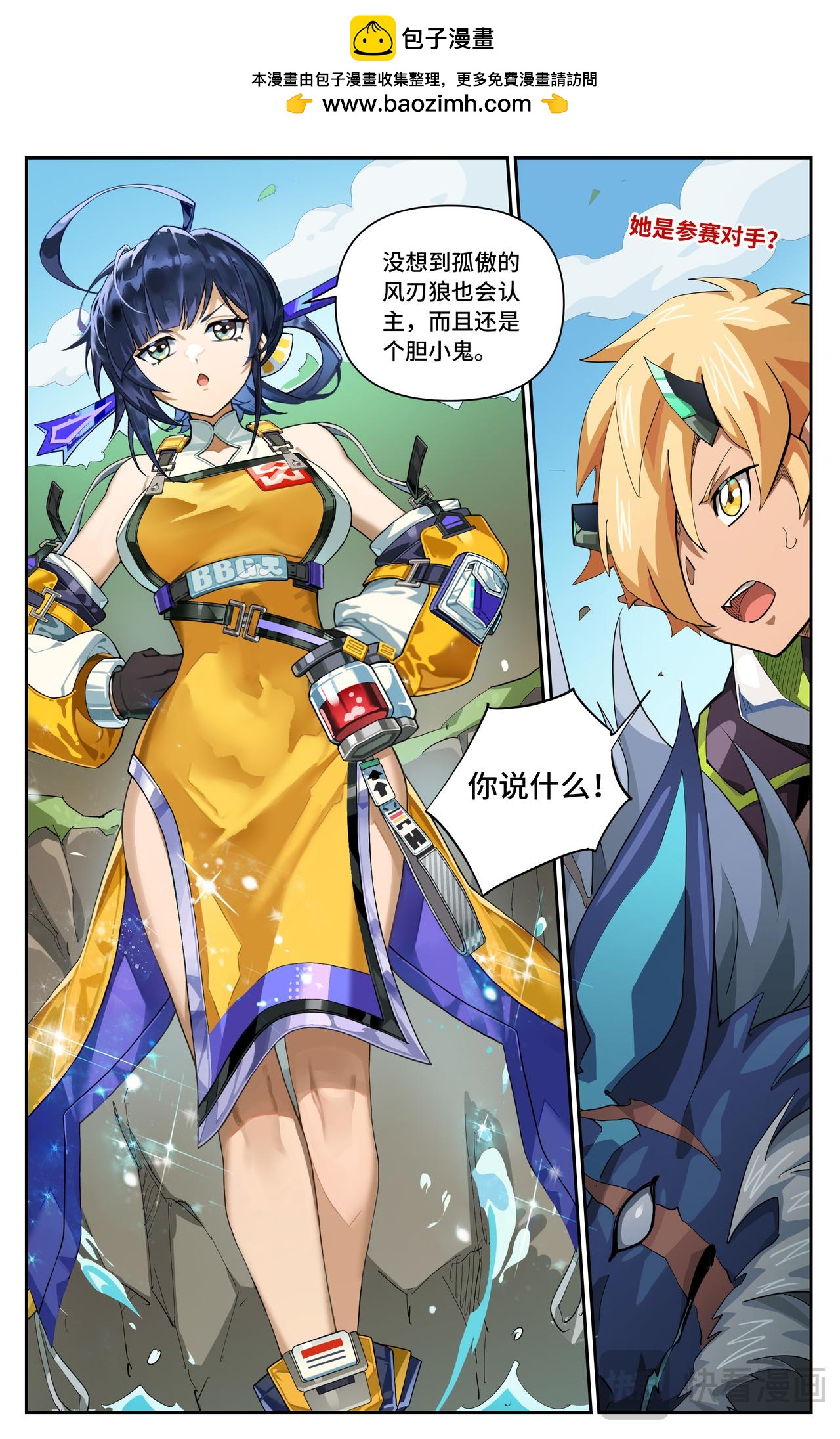 第 6 页