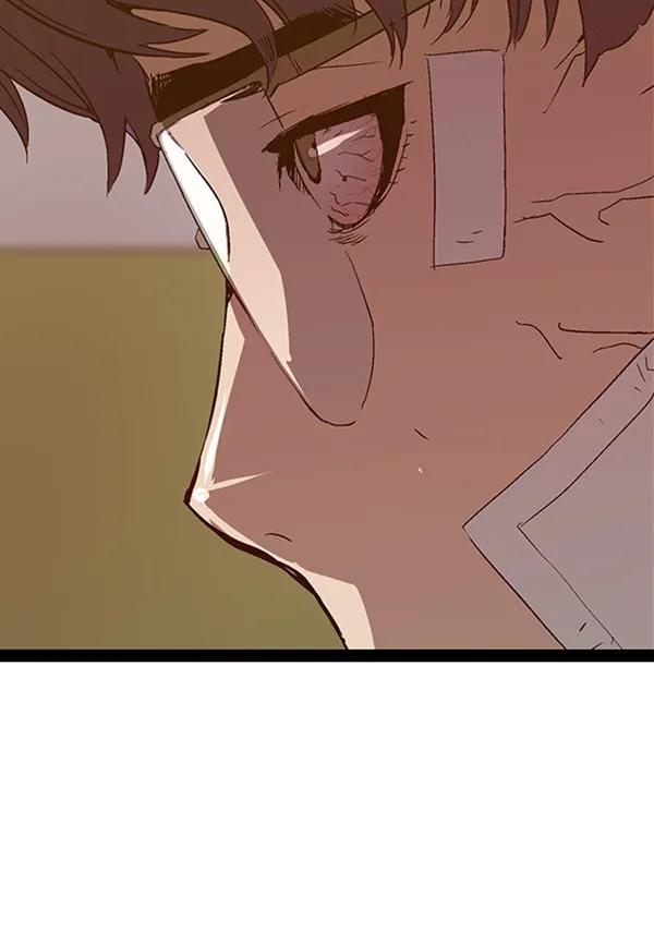 第 113 页