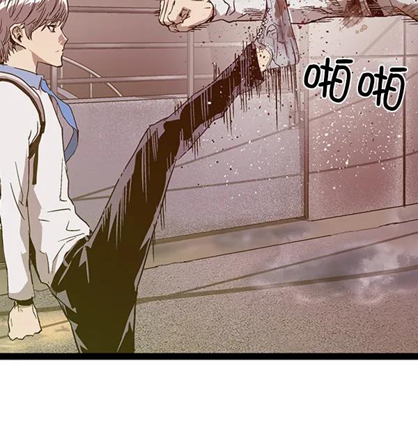 第 137 页