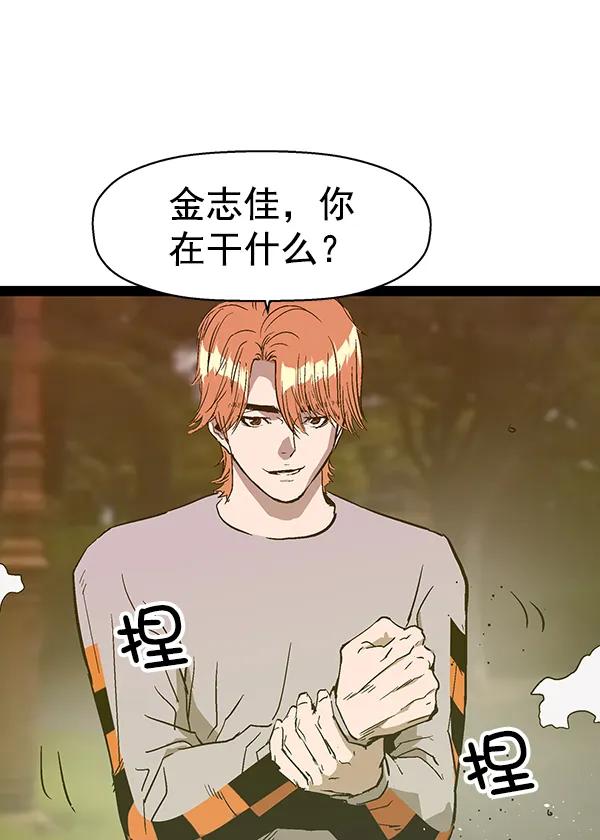 第 97 页