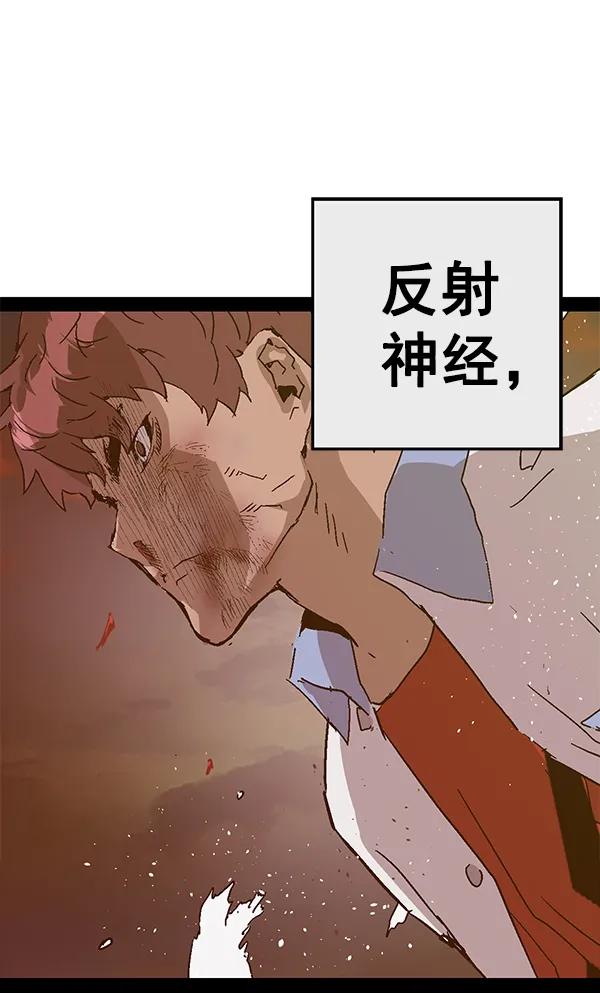 第 117 页