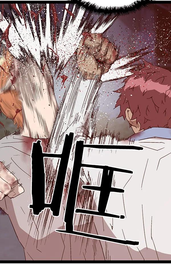 第 116 页