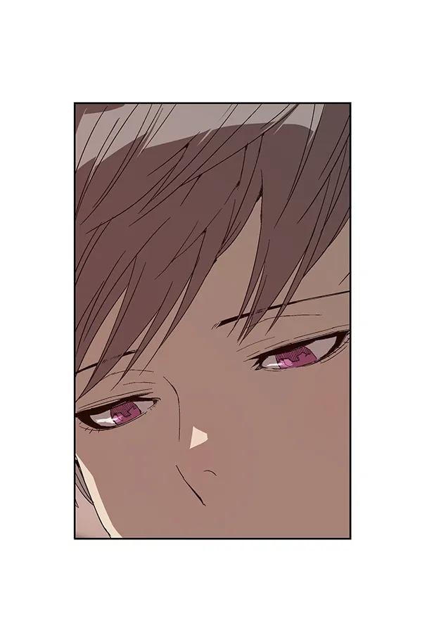 第 113 页