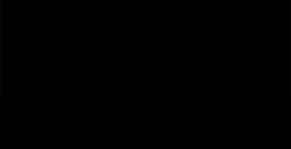 第 101 页
