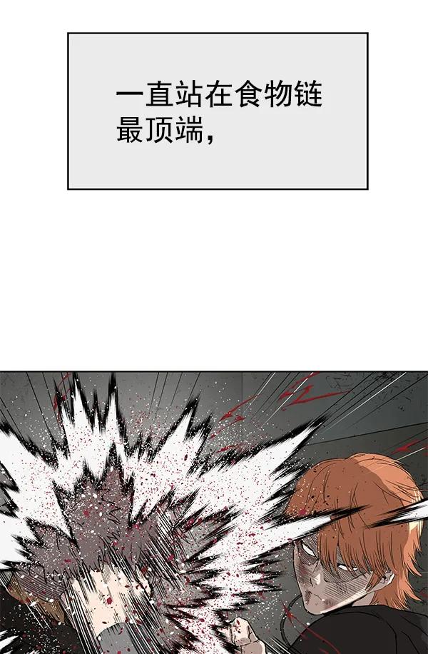 第 118 页
