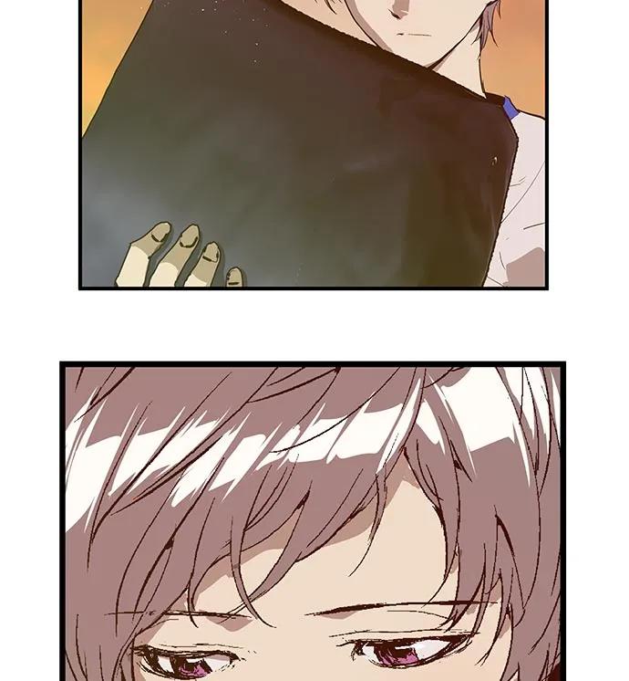第 113 页