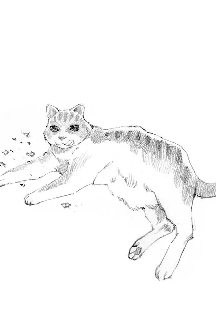 第 48 页
