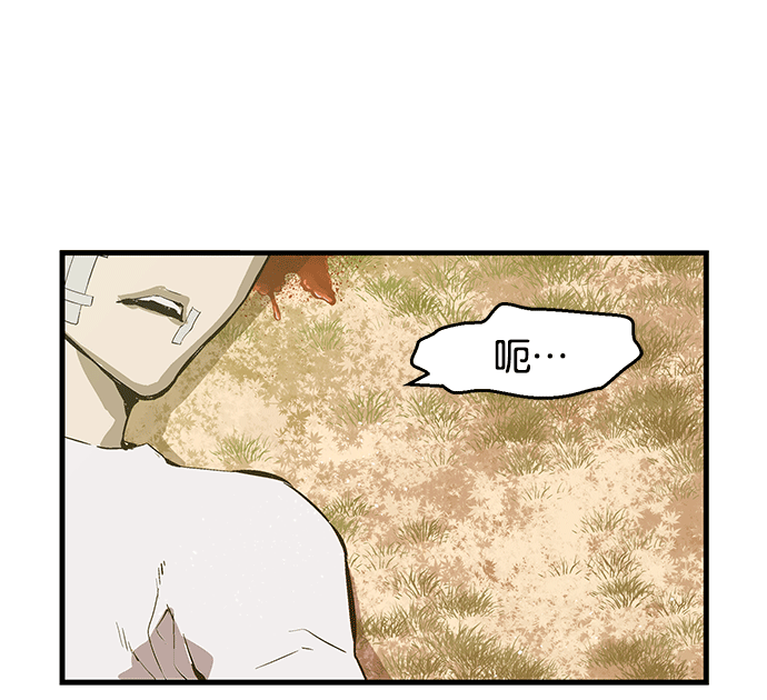 第 117 页
