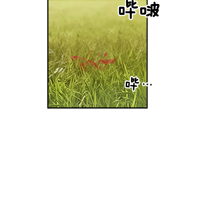 第 135 页
