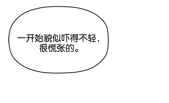 第 167 页