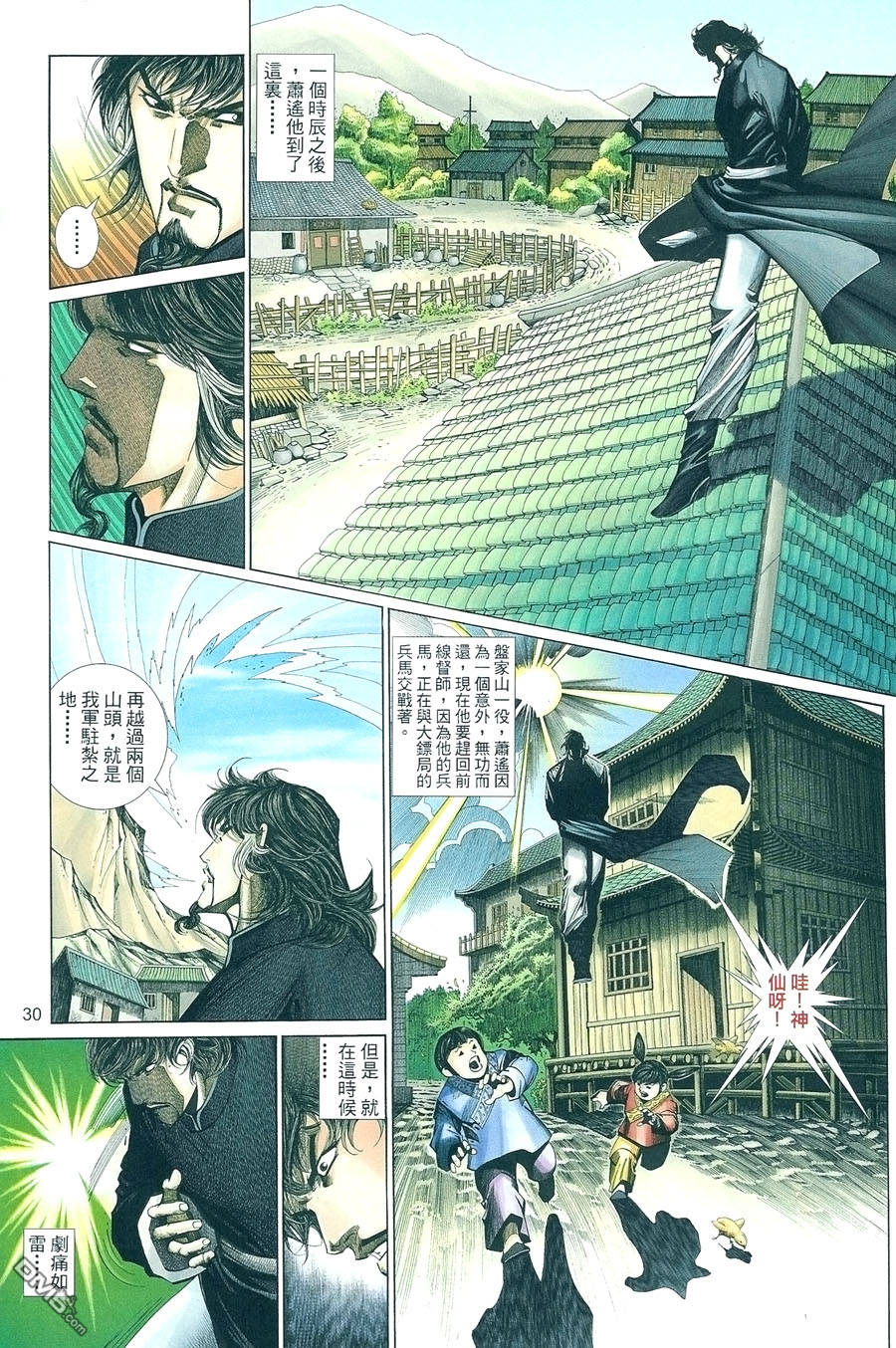 第 30 页
