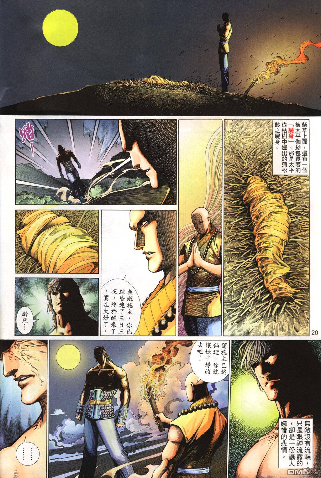 第 20 页
