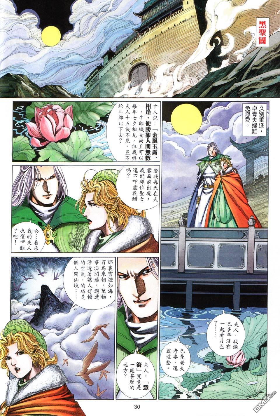 第 30 页